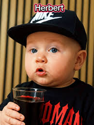 Herbert Kickl Song Lustig