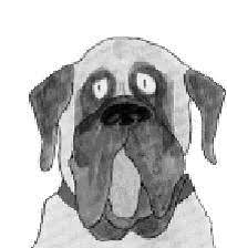 Henry and mudge 2nd grade. 23 Henry And Mudge Ideas Reading Street 2nd Grade Reading 2nd Grade Ela