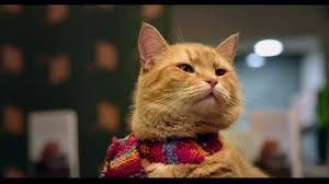 James bowen încearcă cu disperare să scape de dependența de heroină prin intermediul unui program. A Street Cat Named Bob Trailer Exclusive 7 Things You Need To Know About The Movie Heraldscotland