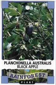 Black kow gives fruit trees a great start. Black Apple Planchonella Australis