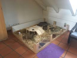 Meerschweinchen Gehege Meerschweinchen Gehege Meerschweinchen Kaninchengehege