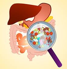 For stays of up to 30 days, you can apply online for a tourist visa. Free Medical Camp For Piles At Aster Medcity