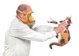 Cat Allergy New Treatments Wtop