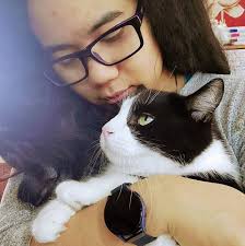 What are good home internet service providers in the Binbrook area for  around $30?