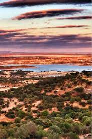 Alentejo Wine Tasting At Adega Ervideira Wine Tourism Wine Tourism Tourism Wine Travel