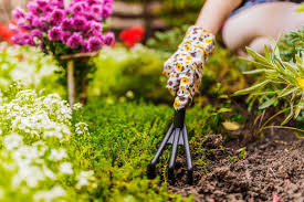 Seasonal Garden Maintenance: What to Do in Spring, Summer, Fall, and Winter  – Lost Coast Plant Therapy