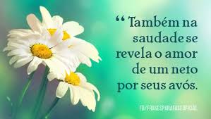 Todos os dias é dia de homenagear a vovó ou o vovô. Frases Para O Dia Dos Avos 2020