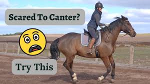 Stop Bouncing In The Saddle - Amelia Newcomb Dressage