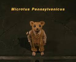 Cussyeah Wesanderson Fantastic Mr Fox Wes Anderson Wes Anderson Movies