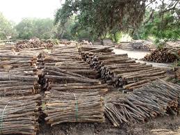 Our selection of attractive ornamental wood ties are ideal for fastening and anchoring your cedar timbers, lumber, and more! Auld Cedar Yard Cedar Posts Cedarclearing Cedar Fencing