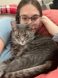 Young shihtzu Blonde is male Darker is femal