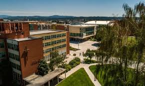 Full admission support for students. Gonzaga University Abound Mba Discover Top Mba Programs