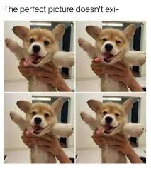 Wholesome memes that will make you laugh every time. Feel Good Jokes And Memes