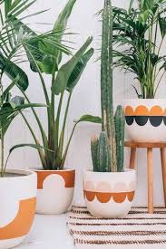 Pop And Scott Modernist Planter Range Melbourne Australia Pop And Scott Modernist Interior Indoor Tree Plants