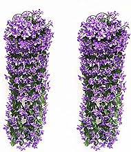 Piante pendenti, piante cadenti o addirittura piante cascanti. Piante Pendenti Da Balcone Confronta Prezzi E Offerte E Risparmia Fino Al 42 Lionshome