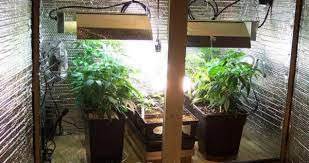 The grow room should be nearby water and electricity. How To Setup A Low Budget Grow Room Cheap Indoor Grow Setup