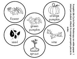 Pumpkin Life Cycle Mobile Pumpkin Life Cycle Apple Life Cycle Life Cycles