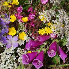 We did not find results for: Wild Flower Mix Honey Bee Mixture Seeds Plant World Seeds