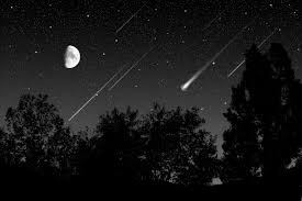 Meteor Shower In Black And White Perseid Meteor Shower Meteor Shower Lyrid Meteor Shower