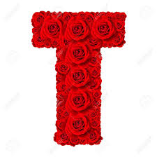 Find over 100+ of the best free alphabet images. Rose Alphabet Set Alphabet Grossbuchstabe T Aus Rot Aus Rosenbluten Auf Weissem Hintergrund Lizenzfreie Fotos Bilder Und Stock Fotografie Image 51680282