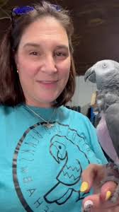 Dallas is a 32 year old Congo African Grey that’s in desperate need of a  reset. Full story is