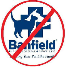 Banfield pet hospital is a privately owned company based in vancouver, washington, united states, that operates veterinary clinics. Banfield Pet Hospital Logo Pet S Gallery