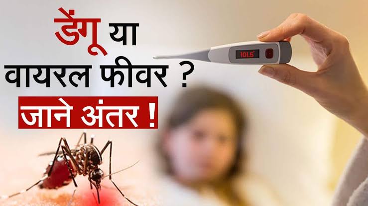 Dengue Vs Viral Fever: जानें डेंगू और वायरल फीवर का अंतर डॉक्टर से Watch  Video