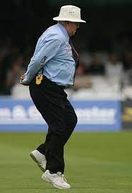 Only One Umpire Was Known For Doing Assorted Hops Skips And Especially The Gull Like One Legged Stance When Sports Hero Cricket England Pinterest Marketing