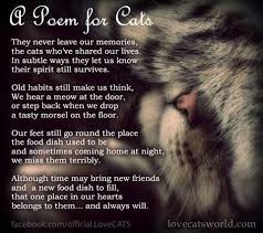 Cat Love Http Www Pinterest Com Joysavor Cat Love Cat Poems Cat Loss Cats