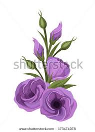 Lisianthus Stock Vectors Vector Clip Art Lisianthus Flowers Flower Drawing Flower Illustration