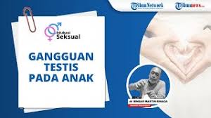 Seseorang bisa dikatakan sukses apabila ia memiliki rencana. Ciri Ciri Seorang Laki Laki Mengalami Puber Kedua Menurut Dokter Binsar Martin Sinaga Fias Tribun Video