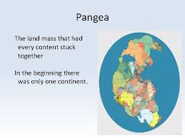 They will answer all three questions at the end of each video. Copy 69 Warm Up 70 71 Plate Tectonic