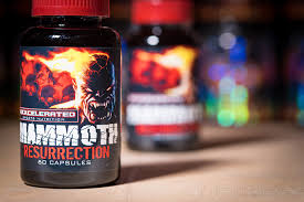 xcel sports nutrition mammoth dna