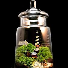Pin On Terrariums