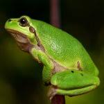 [Image: images?q=tbn:ANd9GcRB3UNu22tlbjoMpuVRc-8...Q&usqp=CAU]