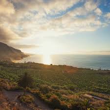 Vous savez ainsi avec qui vous voyagez. Voyagez Demain N 5 Tenerife Iles Canaries Avec Nieves Perdomo De L Office De Tourisme De Tenerife By Les Podtrips De Saliha Podcasts Autour Du Voyage