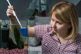 See more ideas about betta fish tank, betta fish, betta. How To Set Up A Beautiful Betta Fish Tank Betta Fish Care 101 Aquarium Co Op