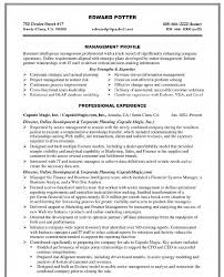director development corporate planning