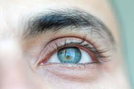 Il bulbo oculare, la scleta e la cornea. Anatomia Dell Occhio