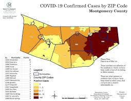 Look for the tab that says cases by zip code. the latest data shows florida with more than 13,000 cases of coronavirus with 236 deaths, as of late monday morning. Montgomery County Ny