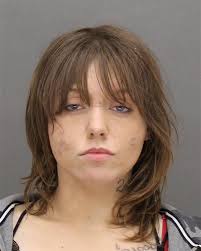 Green Bay Crime Reports: Daily Arrest Records