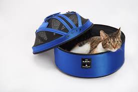 We did not find results for: Subaru S New Line Of Accessories Protects Your Pets From Your Car And Your Car From Your Pets Carscoops