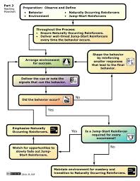 Behavior Flow Chart Behavior Agility Training Positive