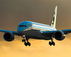 The baggage compartment can hold up to 0.1 bags assuming your average piece of luggage is less than 5 cubic feet. Flying Palace Dreamliner Boeing 787 Bbj