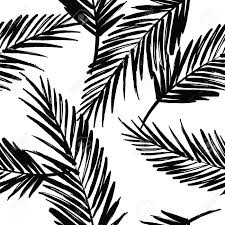 Tropical palm leaf vintage monochrome template isolated vector illustration. Outline Palm Leaf Drawing Novocom Top
