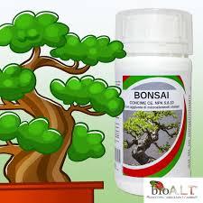 I bonsai infatti vengono coltivati in vasi mentre nei kokedama il vaso è assente. Fertilizzante Bonsai Per Crescita Forte E Sana Concime Bonsai Naturale Rafforza Le Difese Naturali Per Bonsai Ficus 250 Ml