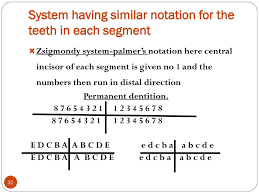 The palmer notation method is used by some orthodontists, pedodontists (child dental specialist), and oral surgeons (originally called the zsigmondy system after an austrian dentist of that name who developed the idea in 1861). Zsigmondy Palmer Charting Crian