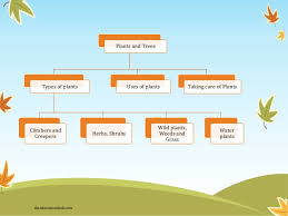 Environmental Science Evs Plants Class Ii