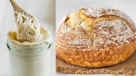 Oregon Trail Sourdough