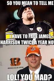 Pin By Sara Doan On Sports Bengals Football Nfl Memes Football Baby